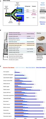 Genomic hotspots: localized chromosome gene expansions identify lineage-specific innovations as targets for functional biodiversity and predictions of stress resilience